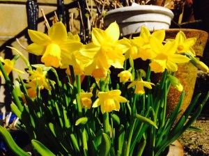 Spring is the best time of all