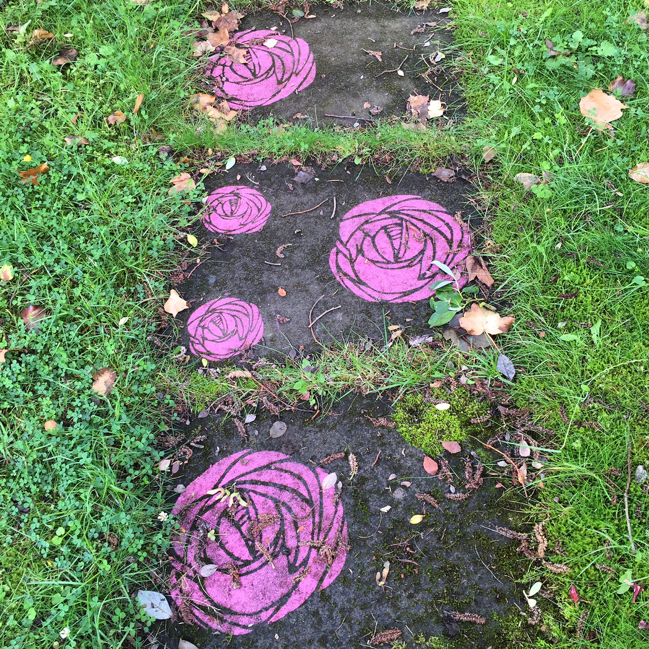 The Big Rose it all started here